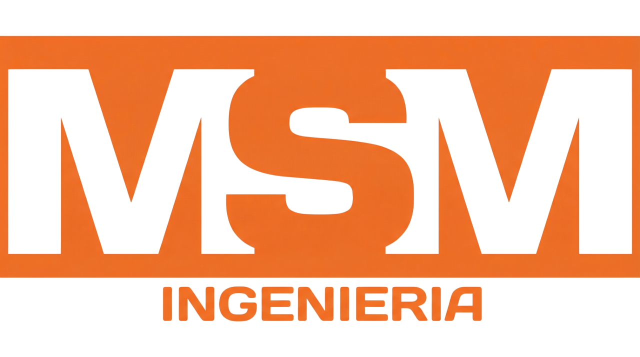 MSM Logo
